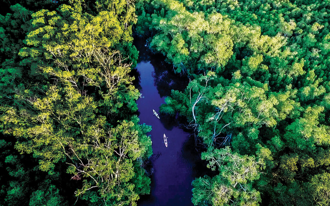 Bahía de Jiquilisco