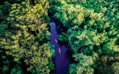 Bahía de Jiquilisco