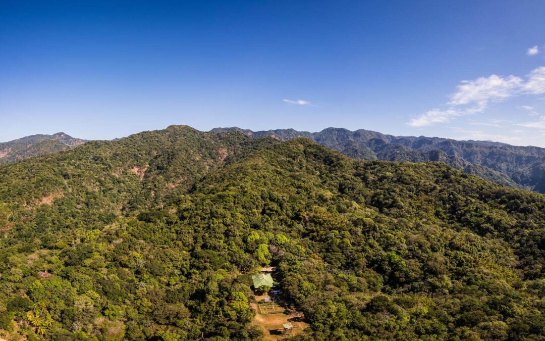 Hike in “El Imposible” National Park