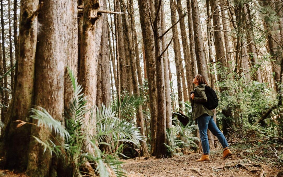 Parque Nacional Montecristo