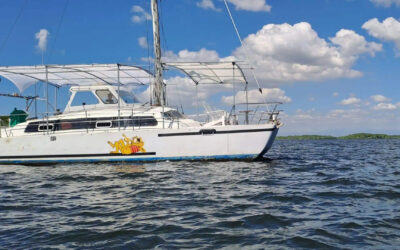 Catamaran Tour – Costa del Sol
