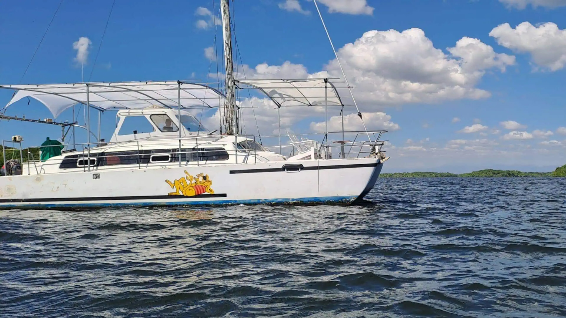 Catamaran Tour – Costa del Sol Catamaran Tour - Costa del Sol